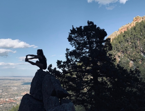 Protect ya legs: shrimp squat x pistol squat