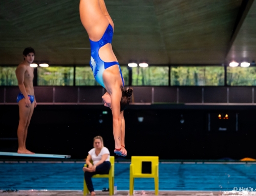 De la gymnastique au plongeon, une passerelle vers le haut niveau