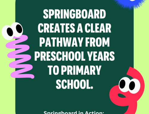 Springboard in Action at Waitakere Gymnastics