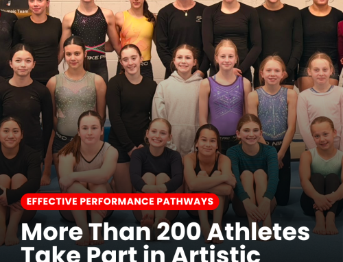 More Than 200 Athletes Take Part in Artistic Regional Clinics